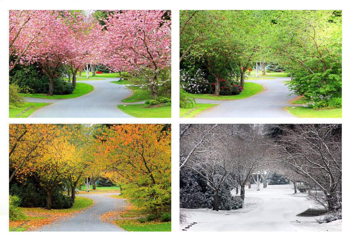 Discover the different seasons in the UK and what to expect during each one. They is Winter, Spring, Summer, and Autumn
