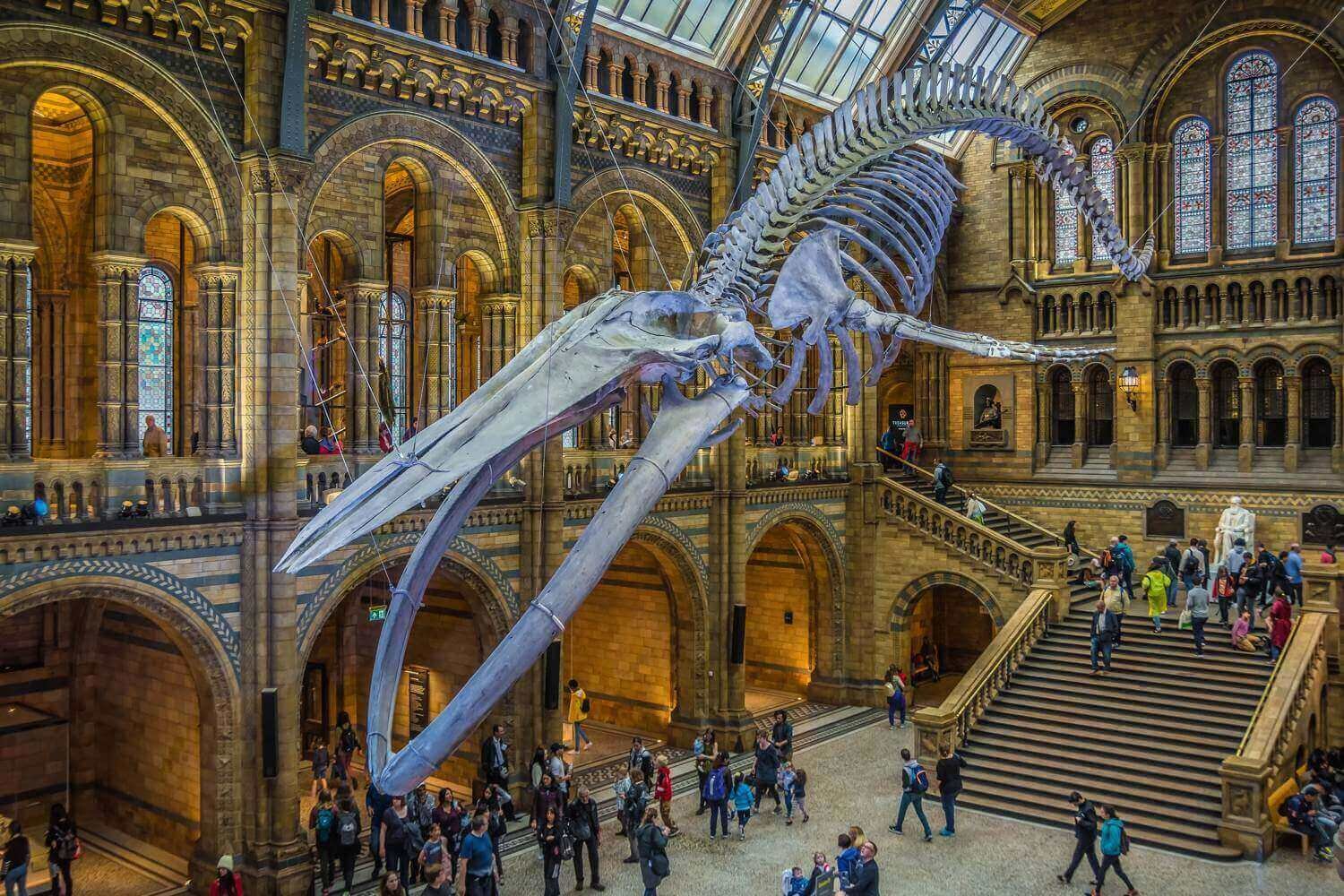 Explore the most visited museums in the UK, including the British Museum, National Gallery, Victoria & Albert Museum, Natural History Museum,