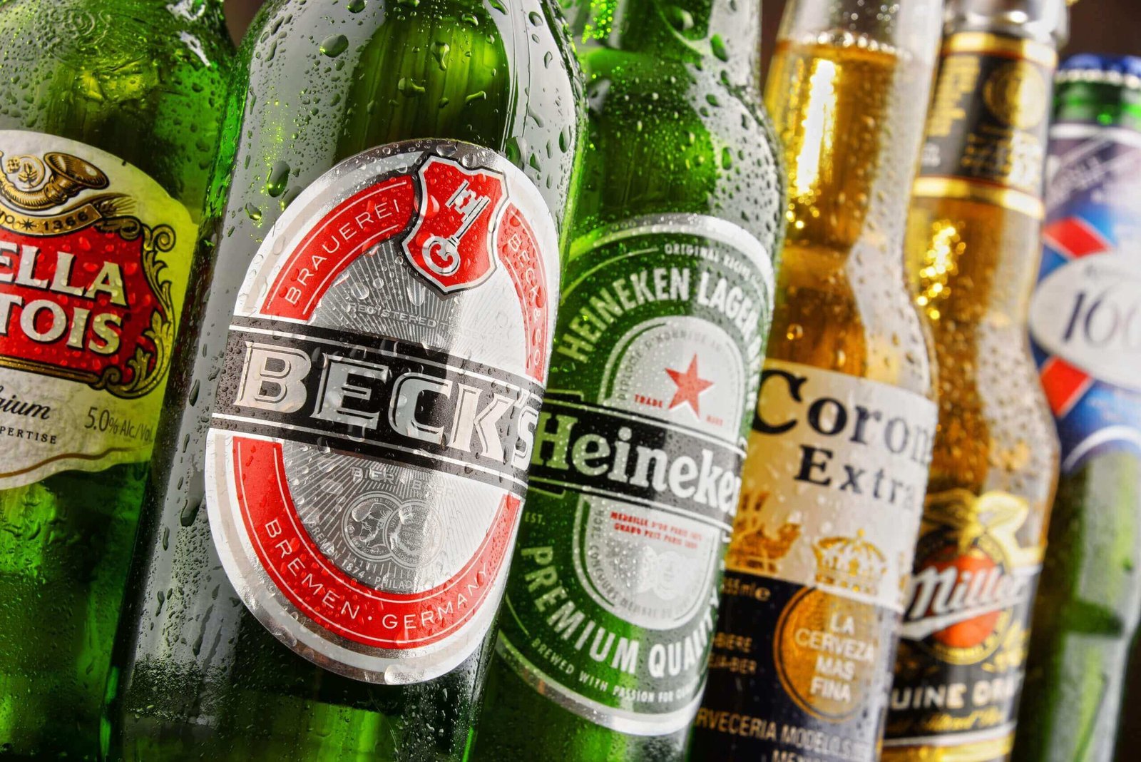 Discover the top beer brands in the UK, Learn about popular lagers like Guinness, Carling, and Stella Artois, BrewDog